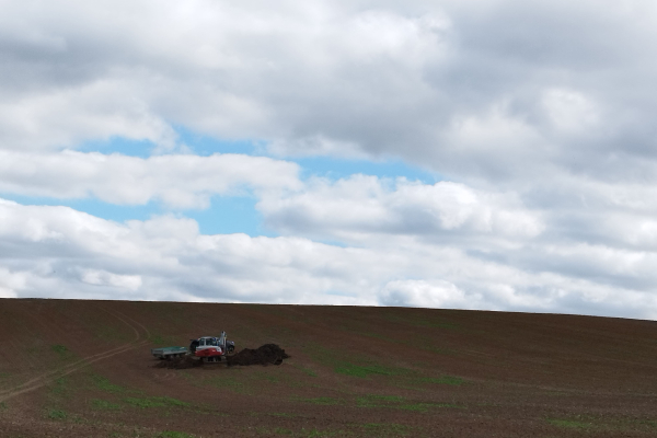 Backer auf einem Acker der ein Loch aushebt