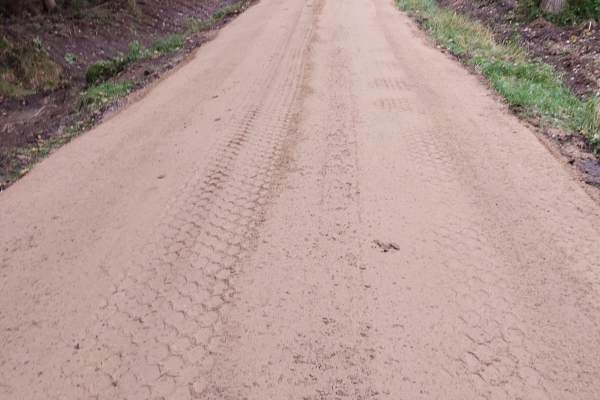 Angelegte Waldstraße im Bauprozess