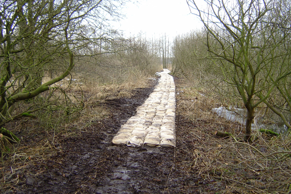 Deichbau mit Sandsäcken in einem Sumpfgebiet